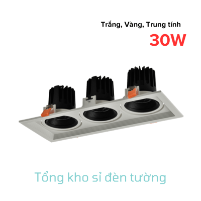 Đèn Spotlight hộp 3 3x10W (HL-B05-3x10)