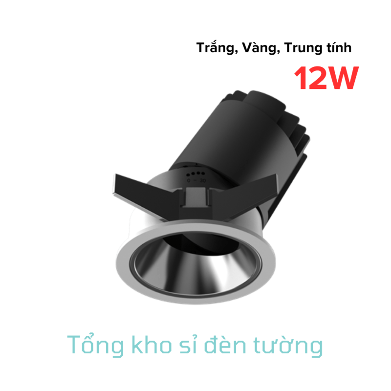 Đèn Spotlight B20 mặt tròn chóa linh hoạt 12W (HL-B20-RCG-12)